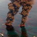 A new material can absorb up to 90 times its own weight in spilled oil and then be squeezed out like a sponge and reused, raising hopes for easier clean-up of oil spill sites