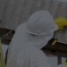 Image of Asbestos Removal Sydney -  Safe and Complete Removal Services