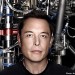 Image of Elon Musk: The World's Raddest Man