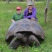 Image of From giant tortoises to iguanas - see the colorful animals of the Galapagos