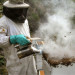 Toxins in our food supply are killing bees