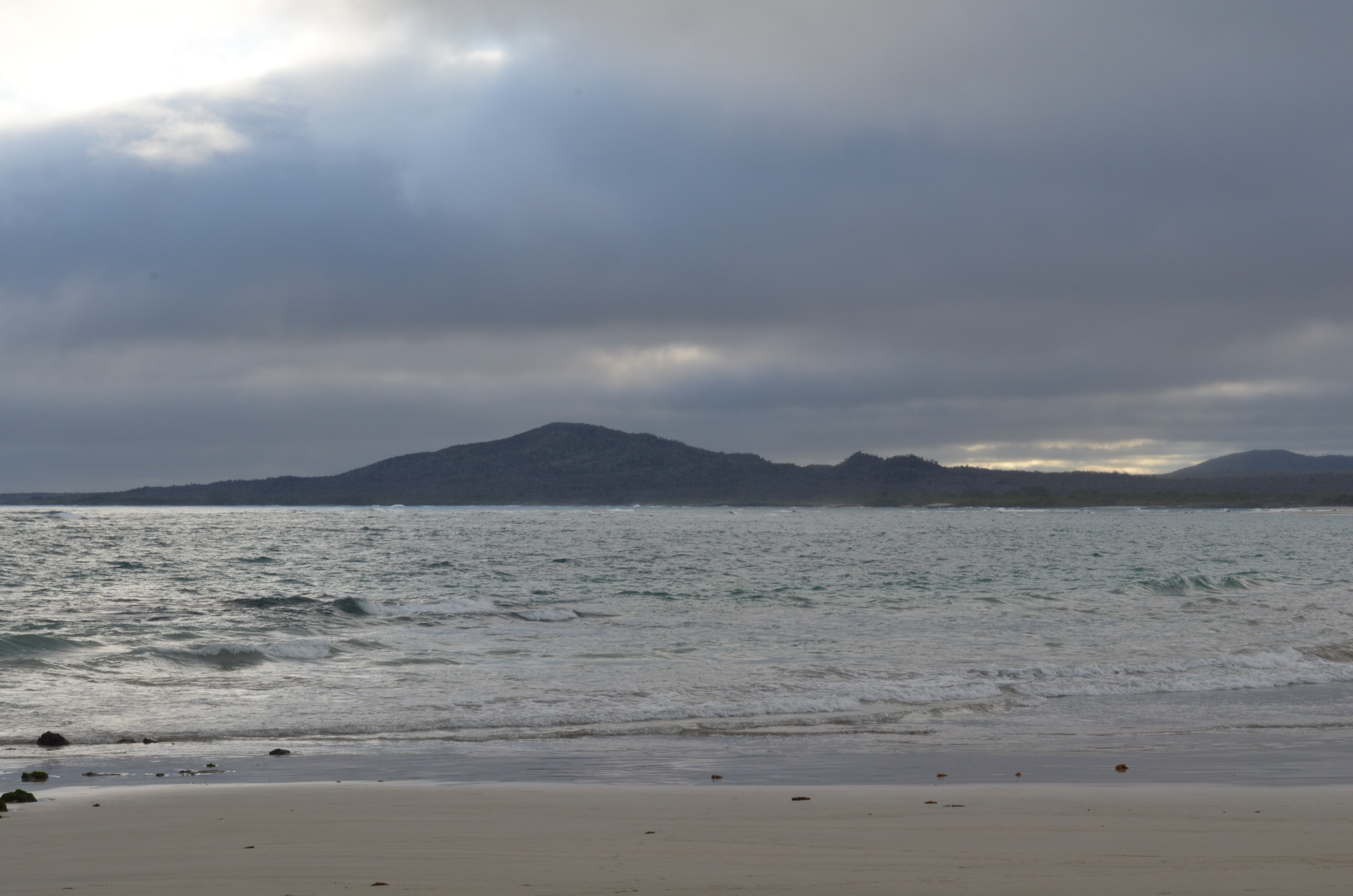 Galapagos shore