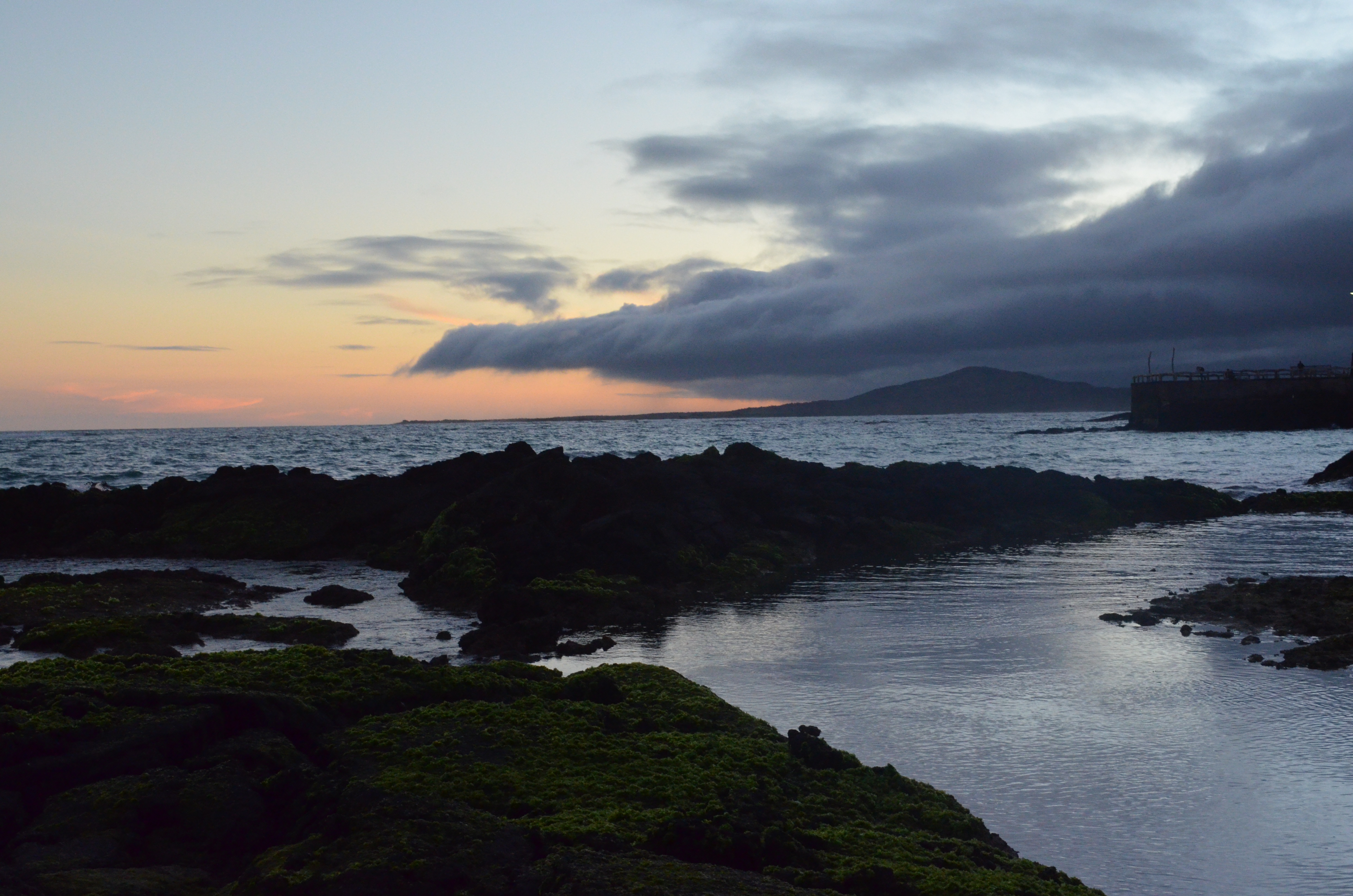 Galapagos shore